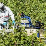 Quatre des 10 000 Pfas étudiés posent des risques pour la santé humaine
