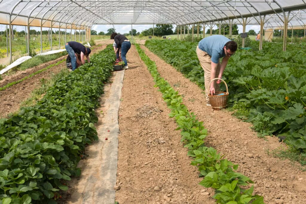 Loi d’urgence agricole : tensions entre les besoins écologiques et les choix politiques.