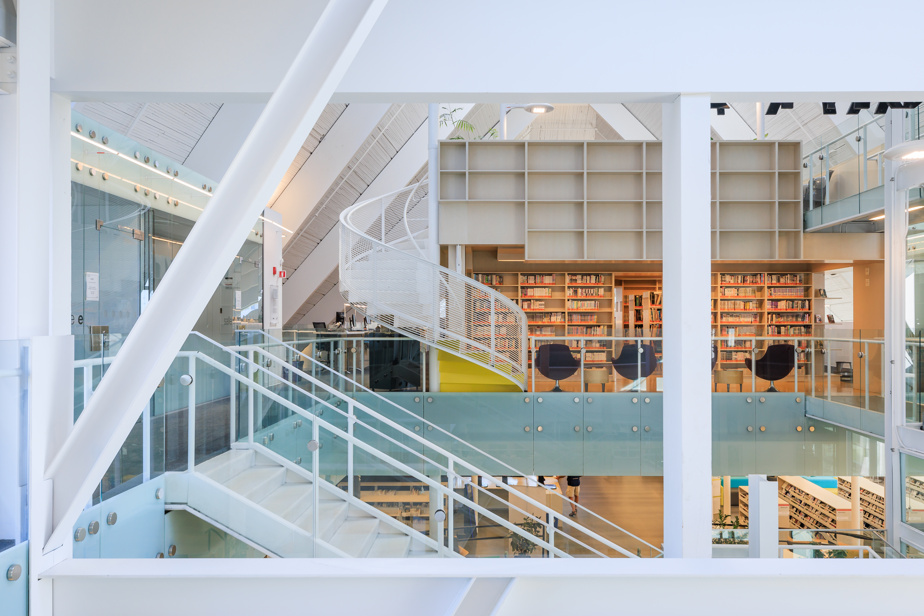 50 bibliothèques remarquables à visiter dans le monde et leurs spécificités architecturales