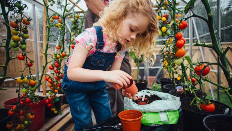 Jardinage : radis, tomates et petits pois, légumes faciles à planter avec des enfants