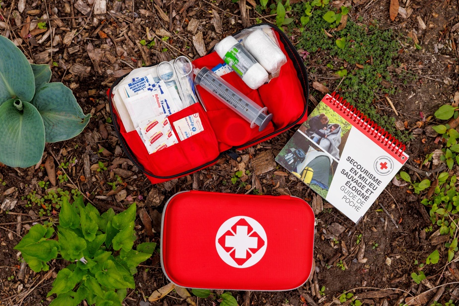 Premiers soins en randonnée : la trousse essentielle recommandée par des experts en sécurité.