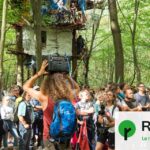 Le bois de Hambach, haut-lieu de la lutte contre le charbon, obtient une protection officielle.