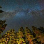 Light pollution réduit la valeur économique des parcs sombres aux États-Unis.