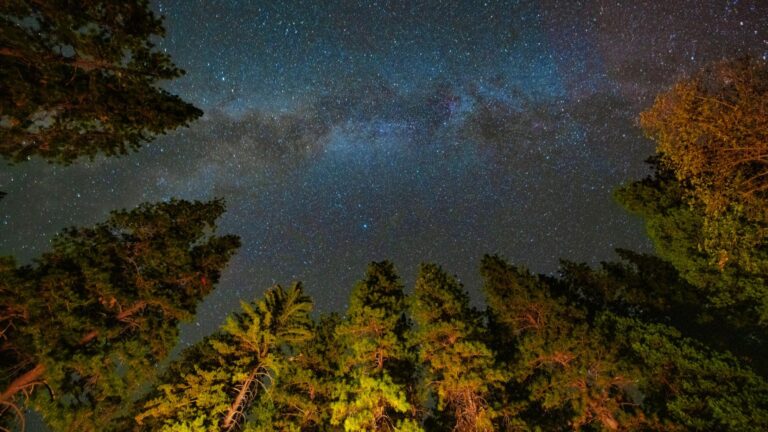 Light pollution réduit la valeur économique des parcs sombres aux États-Unis.