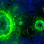 Des scientifiques découvrent des signes de vie ancienne dans un lieu inattendu.