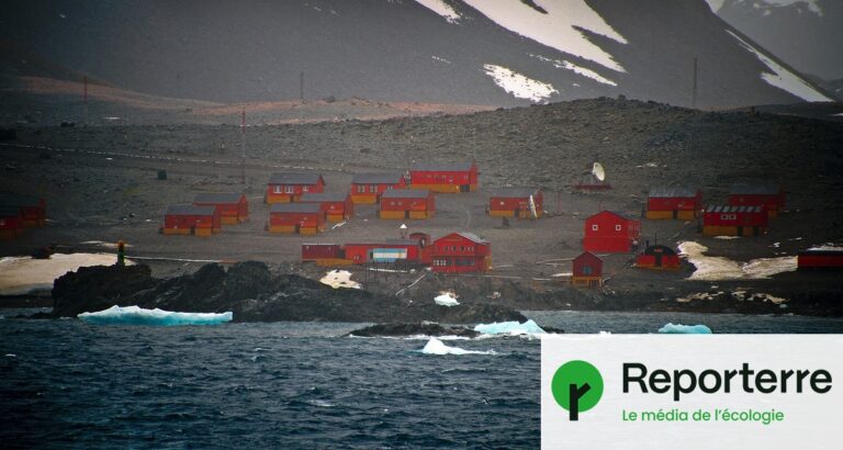 Juin en Antarctique atteint 15,4 °C, un record de température pour la région.
