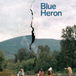 Le film &lsquo;Blue Heron&rsquo; explore la vie du grand oiseau dans un récit captivant