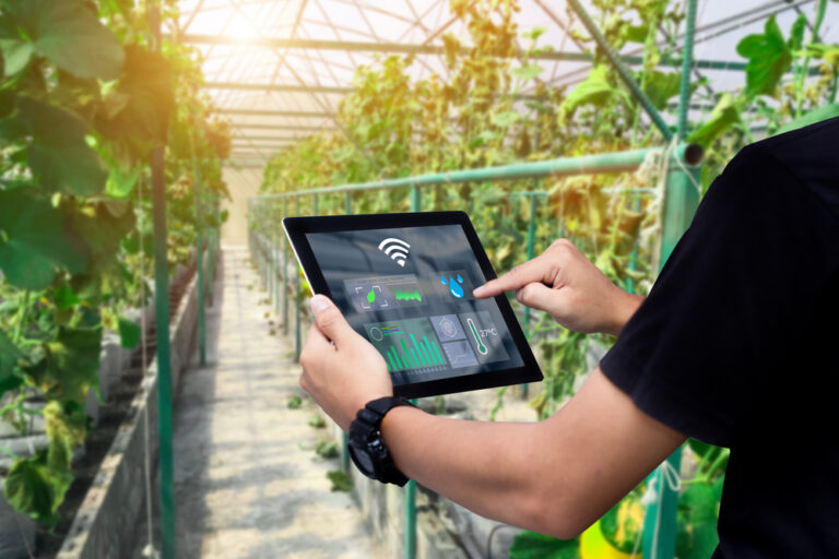 Agtech française : transition vers la maturité après une période d’euphorie.