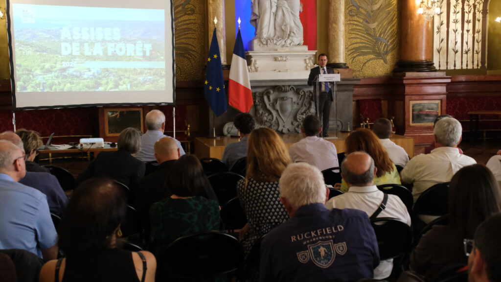 Alpes-Maritimes : une stratégie pour la préservation des forêts face au changement climatique