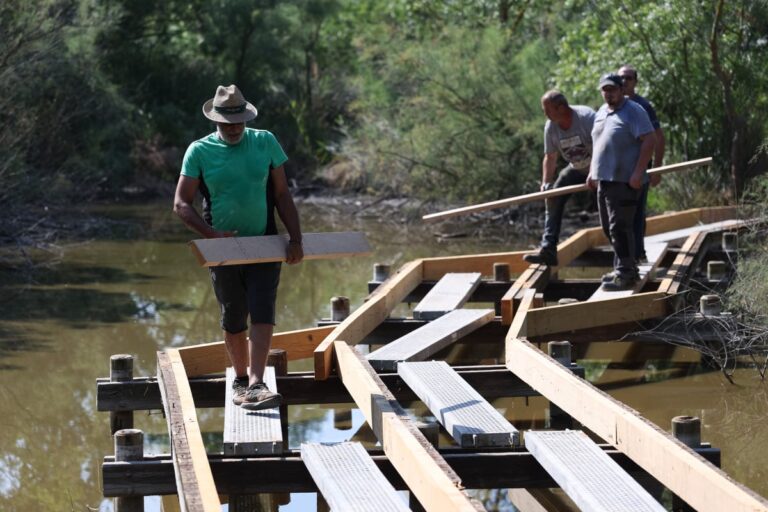 Les Brigades nature d’Arles contribuent à l’entretien des marais du Vigueirat.