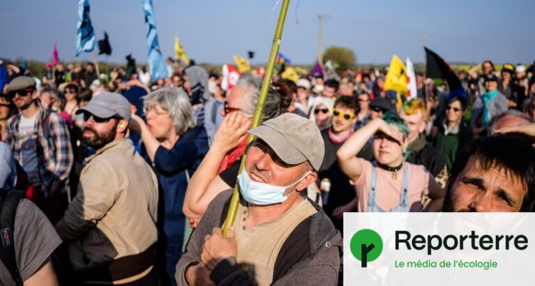 Réchauffement climatique : les mobilisations écologistes freinées par la chaleur extrême.