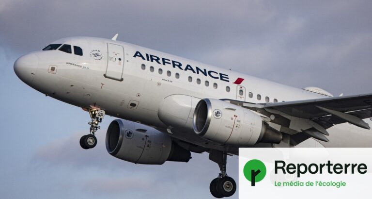 Avion : proposition de limiter les voyages à deux allers-retours annuels en Europe
