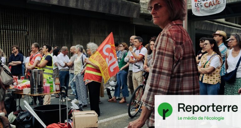 Associations écologiques en danger : conséquences d’un arbitrage politique en France