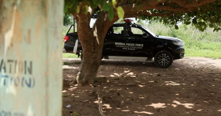 Anxiété et scepticisme face à la refonte de la police nigériane en cours.