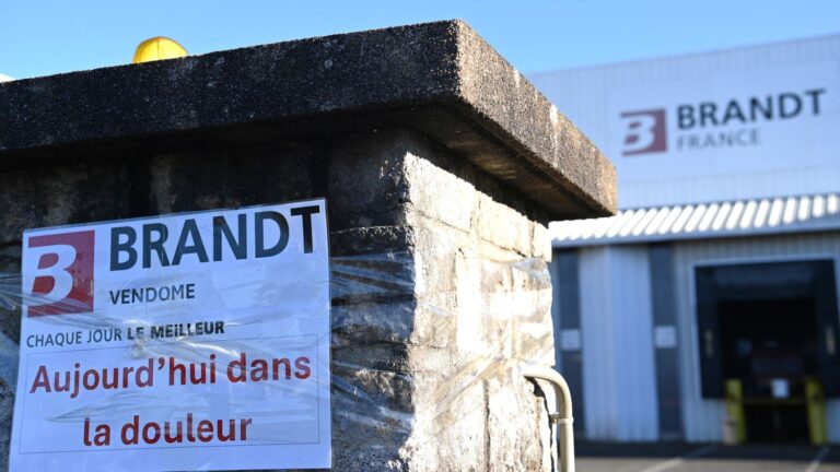 EverEver dépose un projet de reprise du groupe électroménager Brandt en France.