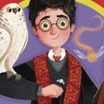 Sept librairies et médiathèques en Franche-Comté ouvrent pour les nuits des livres Harry Potter.