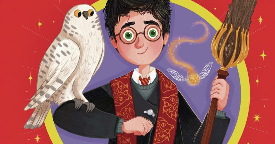 Sept librairies et médiathèques en Franche-Comté ouvrent pour les nuits des livres Harry Potter.