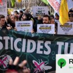 Pesticides : l’État ignoré par les associations qui contestent sa décision.