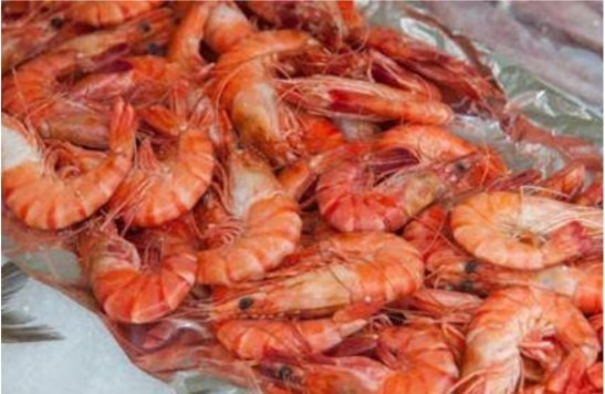 Rappel Consommateur – Détail CREVETTES CUITES 50/70 EQUATEUR AUCHAN LE POISSONNIER