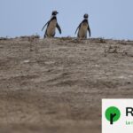 El Niño provoque des perturbations climatiques dans le Pacifique et impacte les pêches.