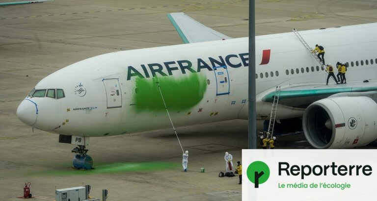 Amendes en appel contre des activistes pour la peinture d’un avion en vert.