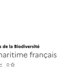 Analyse des données sur l&rsquo;espace maritime français par des chercheurs du CNRS.