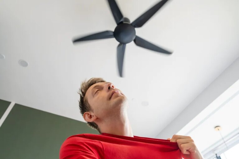 Canicule : 6 solutions efficaces pour maintenir un logement frais en période de chaleur
