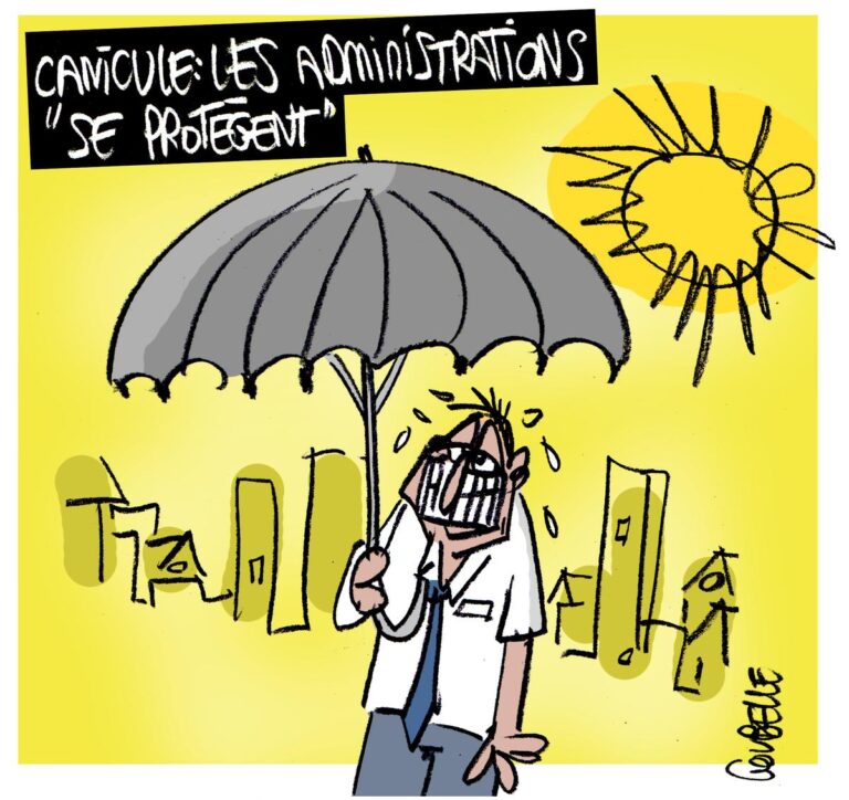 Canicule : des records de température en France soulèvent des inquiétudes sur l’environnement