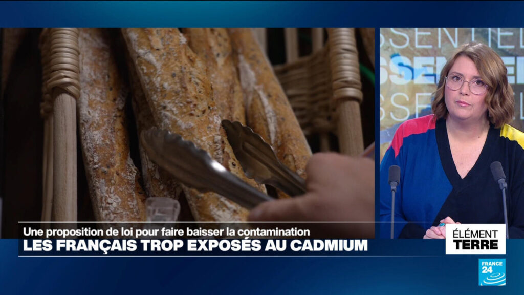 Proposition de loi en France pour réduire l’exposition au cadmium dans l’alimentation
