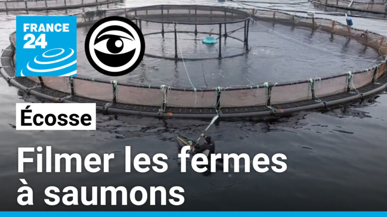 L’activiste dénonce les pratiques controversées de l’industrie du saumon en Écosse.