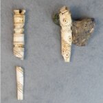 Brèves gauloises : les tubes biseautés ornés d&rsquo;éléments décoratifs relancent le débat sur l&rsquo;artisanat local.