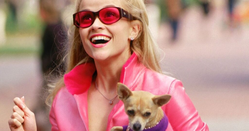 Les chiens favorisent les interactions sociales en milieu urbain, selon une étude récente.
