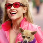 Les chiens favorisent les interactions sociales en milieu urbain, selon une étude récente.