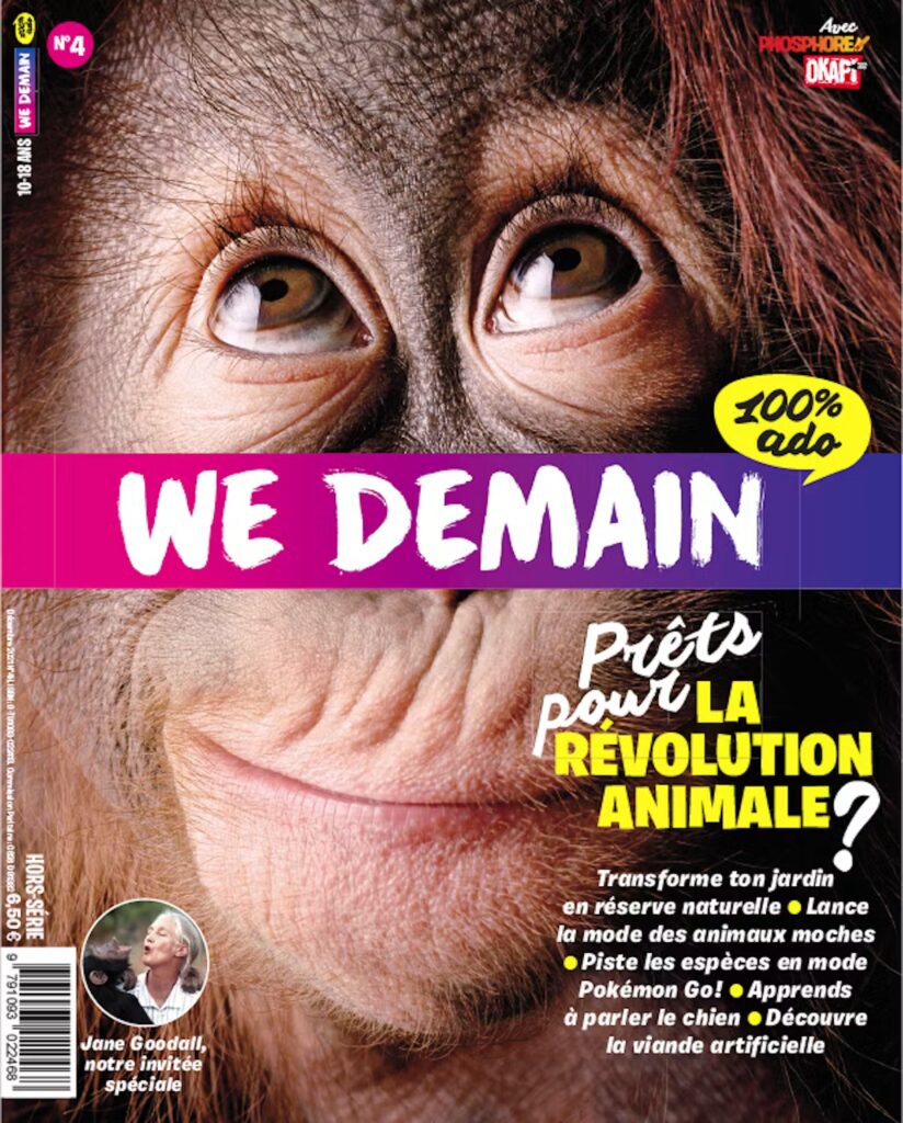 WE DEMAIN 100% ADO N°4 : Analyse des enjeux éducatifs pour les adolescents en France.