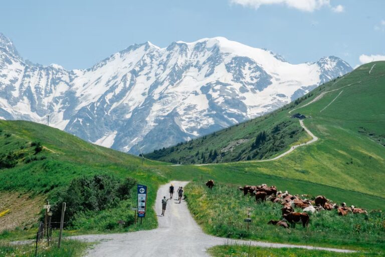 Trois escapades en Savoie pour randonnées, VTT, parapente et dégustation locale.