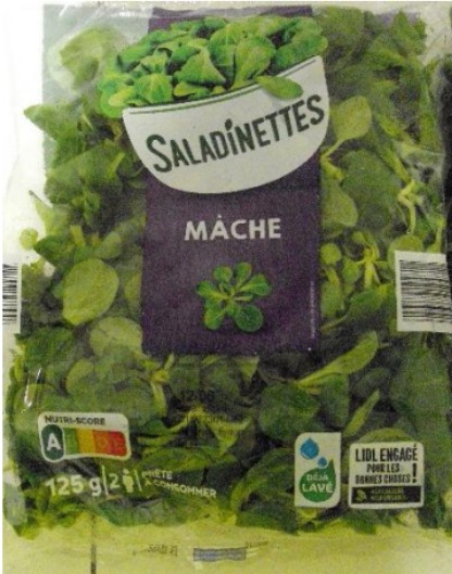 Mâche