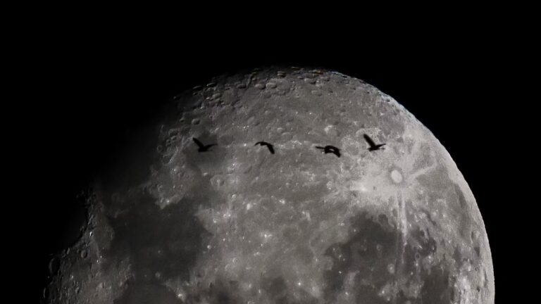 Les astronautes d’Artemis II privilégient l’observation visuelle pour étudier la Lune.