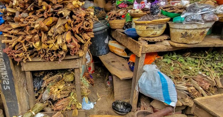 Au Nigeria, la pharmacie algorithmique suscite des préoccupations chez les médecins.