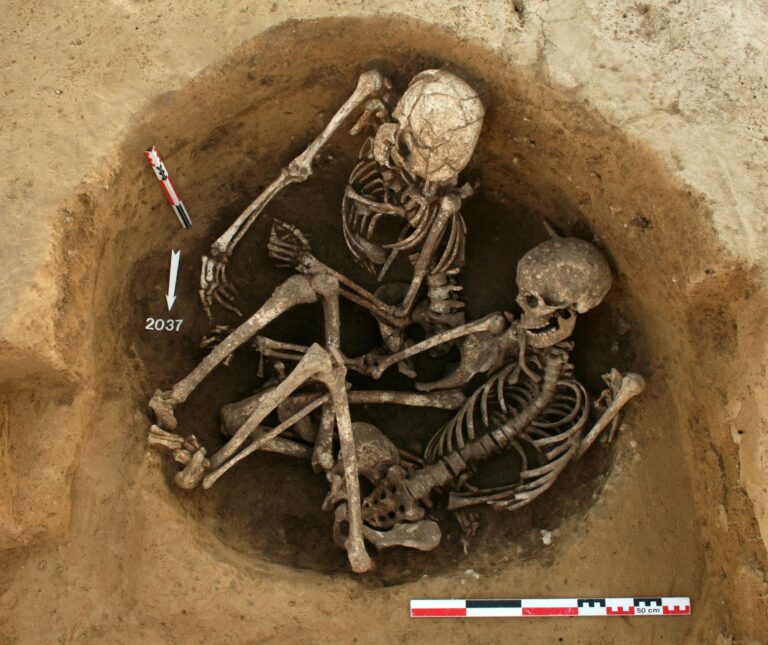 Soutenance de thèse sur le dépôt de morts en forêts : enjeux éthiques et réglementaires en France