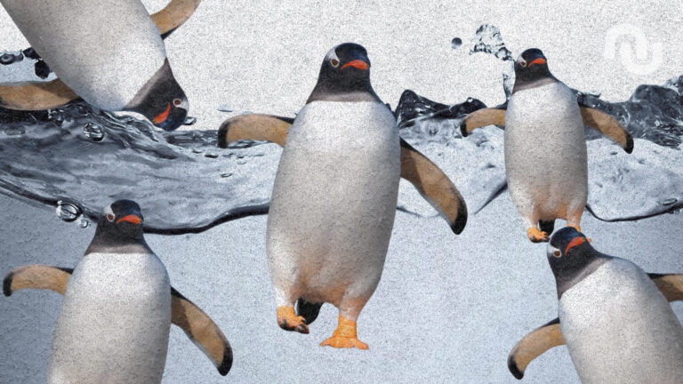 L’IA génère des faux bugs sur Linux, suscitant des inquiétudes parmi les développeurs.