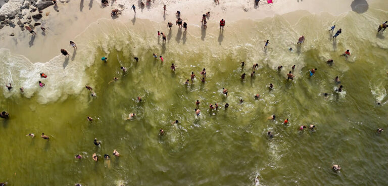 Eutrophisation à Rio : une alerte lancée par les autorités environnementales locales
