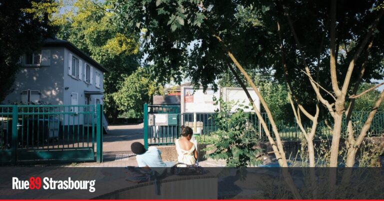 Strasbourg engage une initiative pour augmenter la végétalisation de la ville.