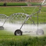 Irrigation et biodiversité : analyse du projet de loi d&rsquo;urgence agricole en France.