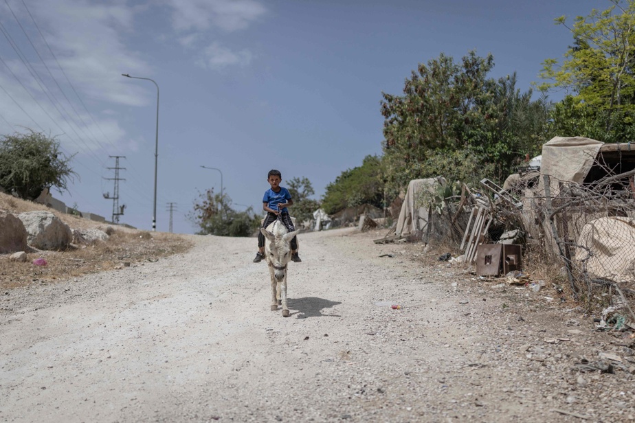 Amnistie internationale dénonce un nettoyage ethnique des Bédouins par Israël.
