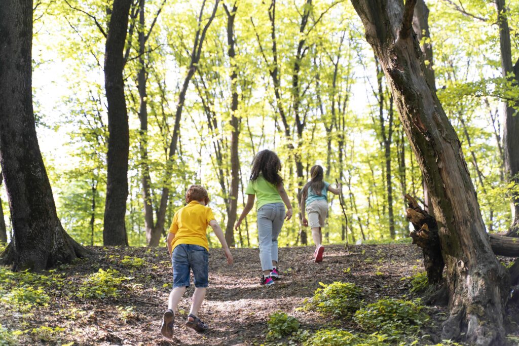 Huit idées pour explorer la nature en France durant les vacances d’été.