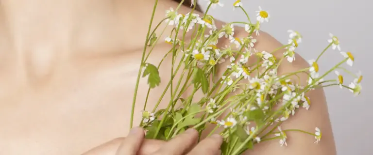 Camomille : étude révèle ses bienfaits pour la peau et les cheveux en dermatologie.