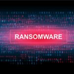 Europol coordonne le démantèlement des réseaux Amadey et StealC.