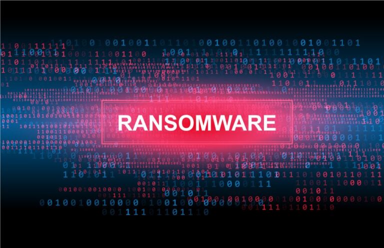 Europol coordonne le démantèlement des réseaux Amadey et StealC.