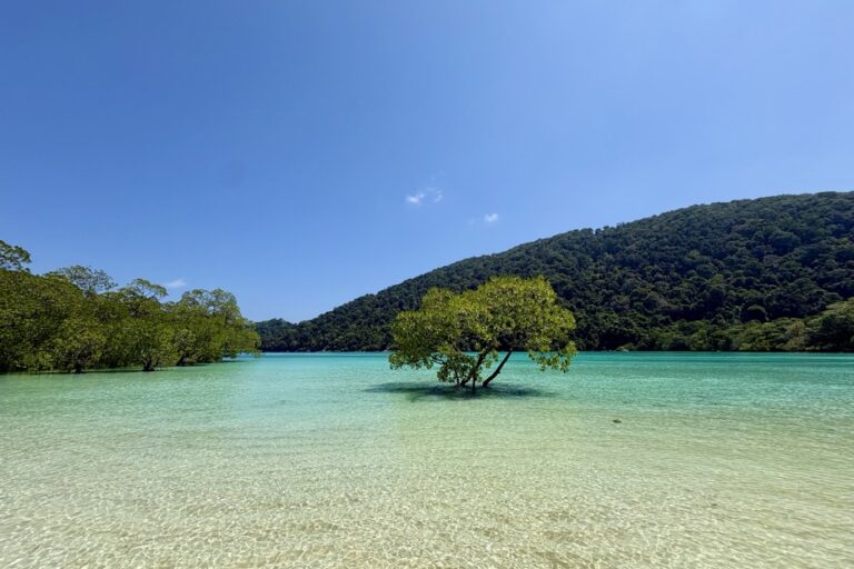 La Thaïlande : exploration des différences culturelles entre deux îles majeures