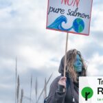 200 personnalités, dont Guillaume Meurice et Camille Étienne, s&rsquo;opposent à une méga-usine de saumons en France.